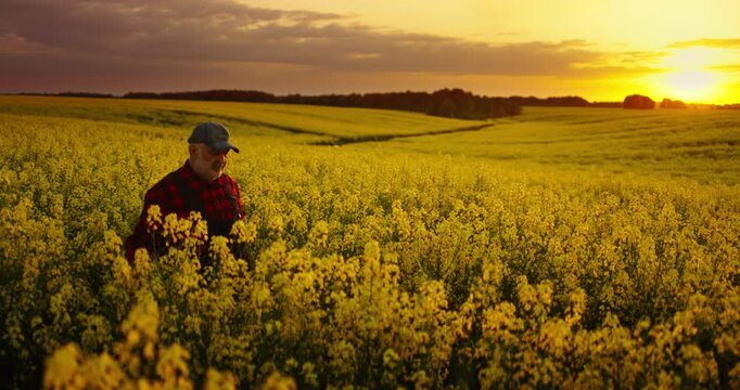 Inspired Old Man Walking In Beautiful Rural Landscape In Sunset Or Sunrise, Breathtaking Landscape