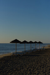 A line of sun loungers and straw umbrellas stand on a sandy beach, facing a calm ocean under a clear, pale blue sky at dawn or dusk.
