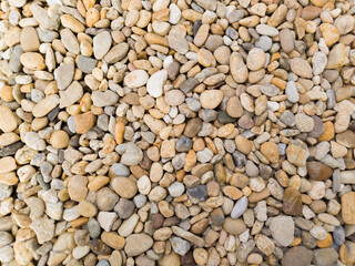 Assorted Smooth Pebbles and Stones in Natural Earth Tones with Varied Shapes and Textures