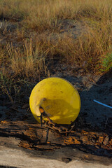 A weathered yellow buoy with a rusty chain rests on a piece of driftwood on a sandy beach, with tall grass in the background.