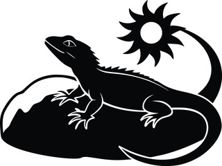 Silhouette of Lizard Resting on Sunlit Rock