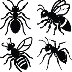 Ant and Bee Line Art