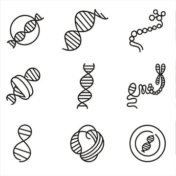 DNA Packaging Icons. Outline style icons of DNA Packaging: nucleosome icon, coiled DNA structure, chromatin fiber, histone wrap