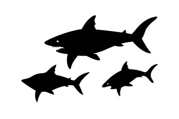 Obraz premium shark silhouette isolated on white