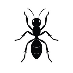 vector illustration of a ant  ant-silhouette-vector-on-white-background