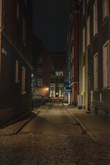 Narrow Cobblestone Street in Gdansk at Night with Glowing Windows