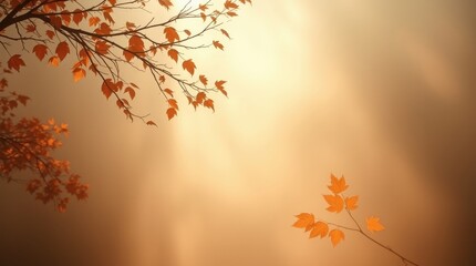 autumn leaves background