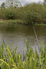 Riverside Fishing Scene with Lush Greenery in Rural Belarus