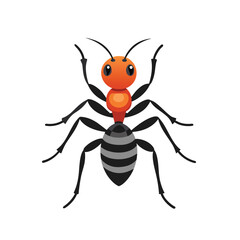 vector illustration of a ant ant-vector-on-white-background