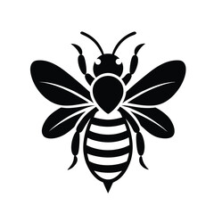 vector illustration of a bee : bee-silhouette-vector-on-white-background