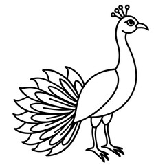 Obraz premium Stylized black and white line drawing of a peacock