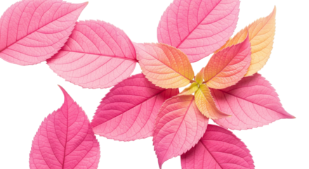 A Cluster of Ethereal Pink and Yellow Leaves