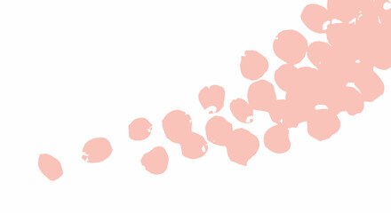 Pink rose petals on white background