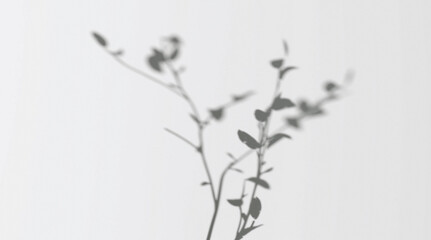 Abstract shadow branch on wind background
