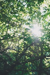 Processed with VSCO with a1 preset