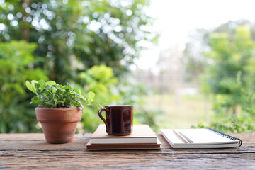 Coffee mug and notebook, with potted Fittonia albivenis,