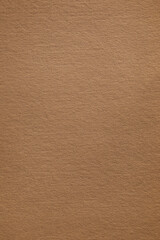 Macro shot of fibrous old brown paper texture