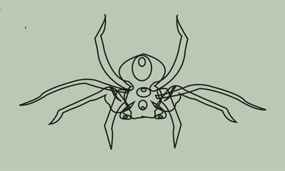 spider on a white background