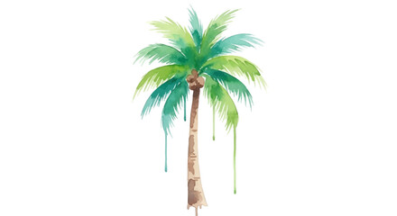 coconut tree on white background vector illustration 