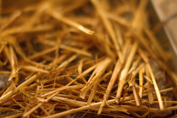 close up of straw