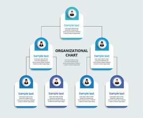 Corporate organizational chart with business avatar icons. Business hierarchy infographic elements
