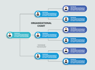 Corporate organizational chart with business avatar icons. Business hierarchy infographic elements

