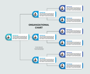 Corporate organizational chart with business avatar icons. Business hierarchy infographic elements

