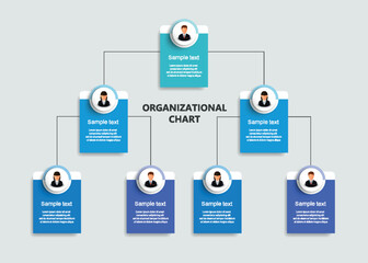 Corporate organizational chart with business avatar icons. Business hierarchy infographic elements
