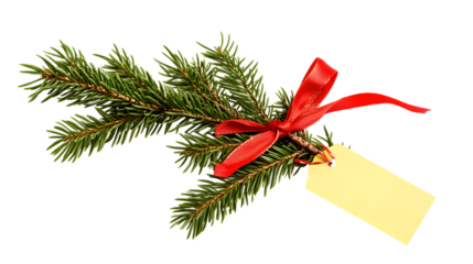 Christmas tree branch with red ribbon and tag isolated on transparent background