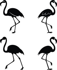 A beautiful set of pink flamingos in a cartoon illustration
