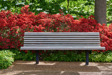 bench in the park with red flower