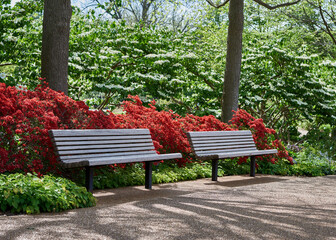 bench in the park