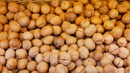 Many nice walnuts in shell