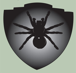 vector illustration of a spider