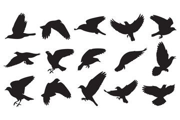 Fototapeta premium A Group of Fifteen Black Bird Silhouettes Displaying Various Flying and Landing Poses on a White Background