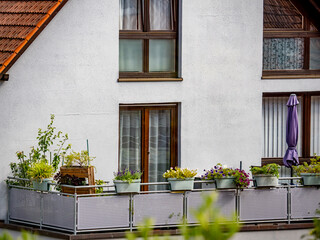 Balkonpflanzen