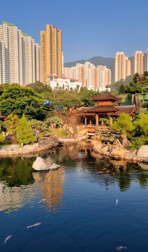 Nan Lian Garden in Hong Kong