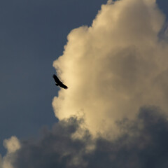 beautiful sky and clouds and moon