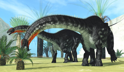 Apatosaurus Dinosaur Munchies - Apatosaurus was a herbivorous sauropod dinosaur that lived in North America during the Jurassic Period. Here two Apatosaurus munch on cycad plants. © Catmando