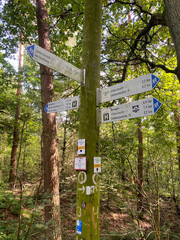 Road sign with town signs in a German forest