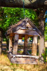 Nest in the town park in the morning