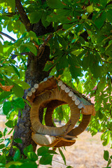 Nest in the town park in the morning