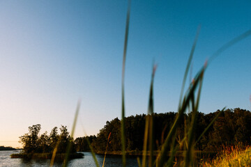 view on a lake from a swedish road, with foliage foreground