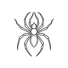 spider on a white background  spider-outline-vector-on-white-background