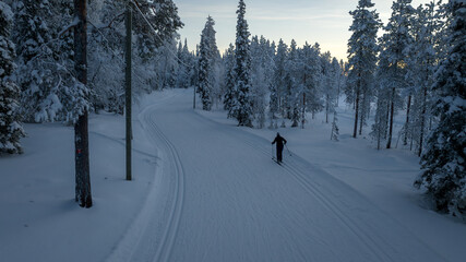 Aerial view of a lone skier gliding across a snow-covered path, flanked by frosted trees under a pale sky, Salla, Finland.