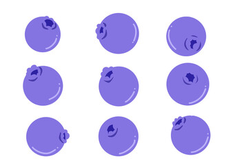 Blueberry set