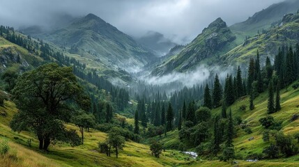 Fototapeta premium Foggy Green Valley with Rolling Hills Covered in Mist