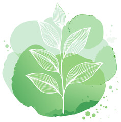 Hand drawn leaf illustration with green watercolor background