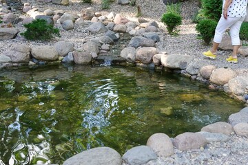 Serene Park Waterfall and Rocky Stream Exploration