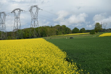 Gros pyl&ocirc;nes de ligne &eacute;lectrique champs